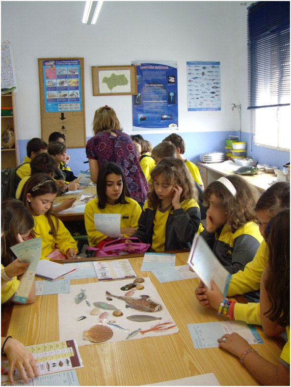 Los alumnos de Novaschool Añoreta, en el Aula del Mar.